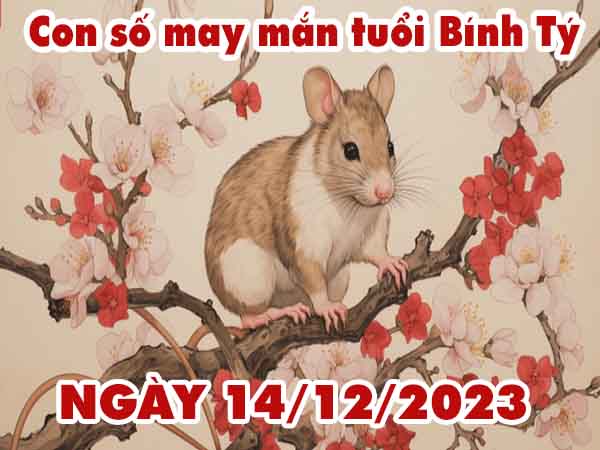 thống kê con số may mắn tuổi Bính Tý ngày 14/12/2023