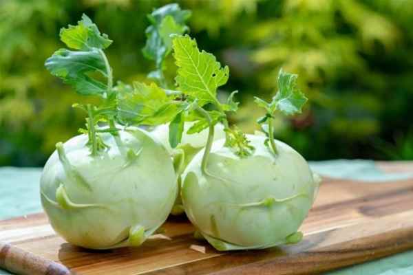 Nằm mơ thấy củ su hào: Liệu là dự báo tốt hay xấu?