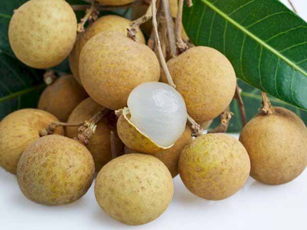 Nằm mơ thấy quả nhãn có con số gì may mắn