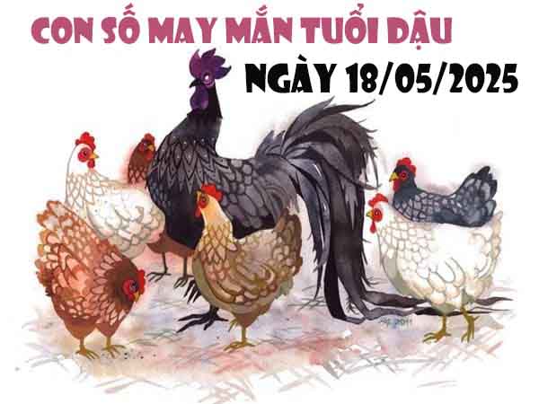 Con số phát tài tuổi Dậu ngày 18/5/2025 chủ nhật hôm nay