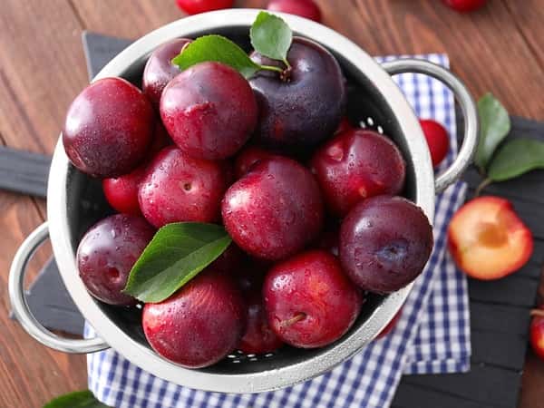 Bật mí ý nghĩa giấc mơ thấy quả mận hung hay cát?
