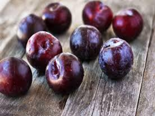 Mơ thấy quả mận là điềm gì cho tương lai của bạn