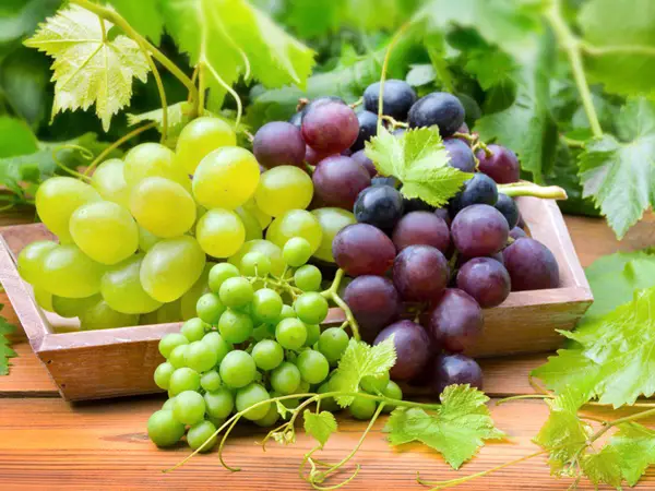 Mơ thấy quả nho có ảnh hưởng gì đến tài lộc không?