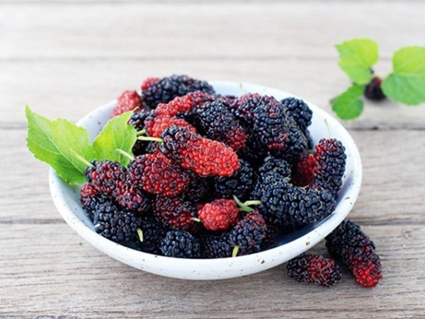 Nằm mơ thấy quả dâu tằm điềm gì đen hay đỏ?