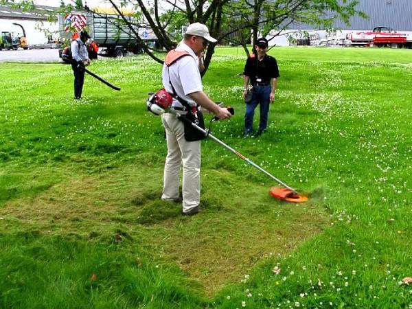 Nằm mơ thấy cắt cỏ là điềm lành hay dữ, con số gì lộc lá?