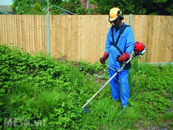 Giải mã giấc mơ thấy cắt cỏ là điềm gì chuẩn tâm linh