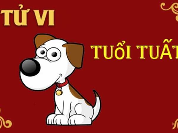 Tổng quan vận trình tuổi Tuất ngày 11/4/2026 Tổng quan vận trình tuổi Tuất ngày 11/4/2026