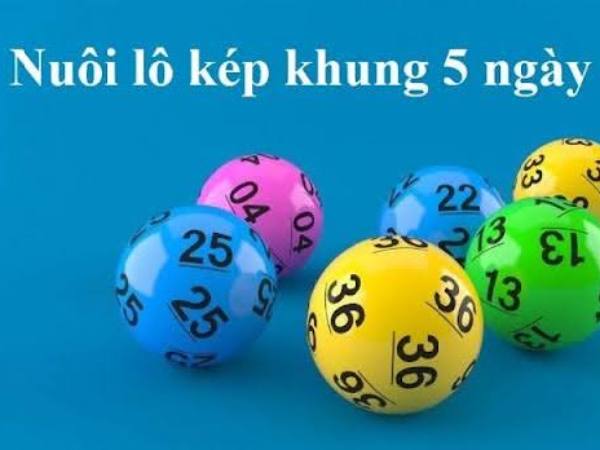 Giải đáp lô kép khung 5 ngày là gì, cách tham khảo hiệu quả